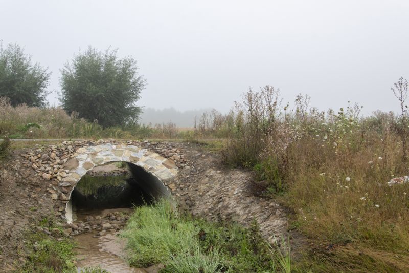 Backfilling and Restoration