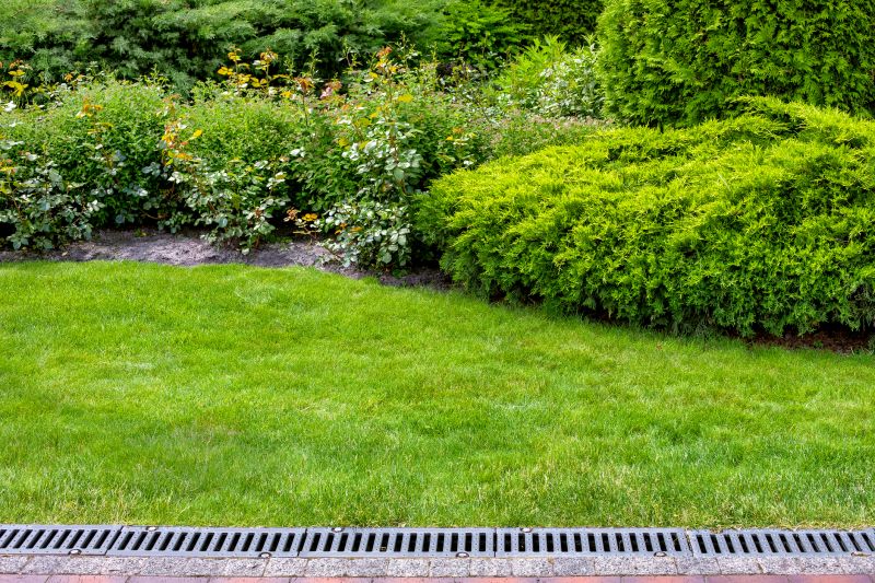 Yard Drain Installation in Tuscaloosa, AL